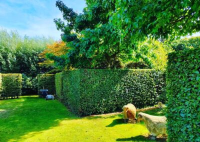 Tuin te Mariakerke
